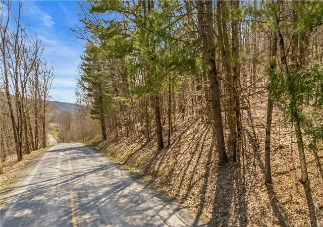 4th image of L9113 Lutheranville Rd, Summit, NY 12064 | MLS# R1678079