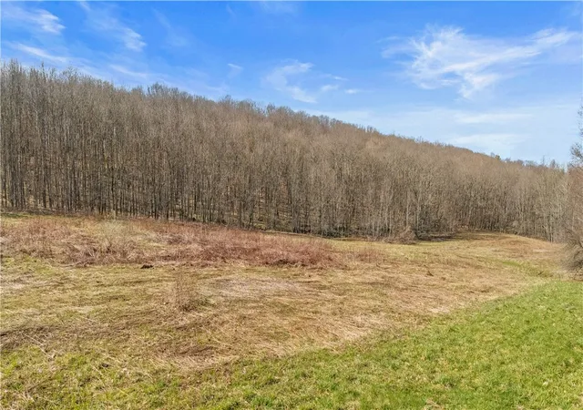 5th image of L9113 Lutheranville Rd, Summit, NY 12064 | MLS# R1678079