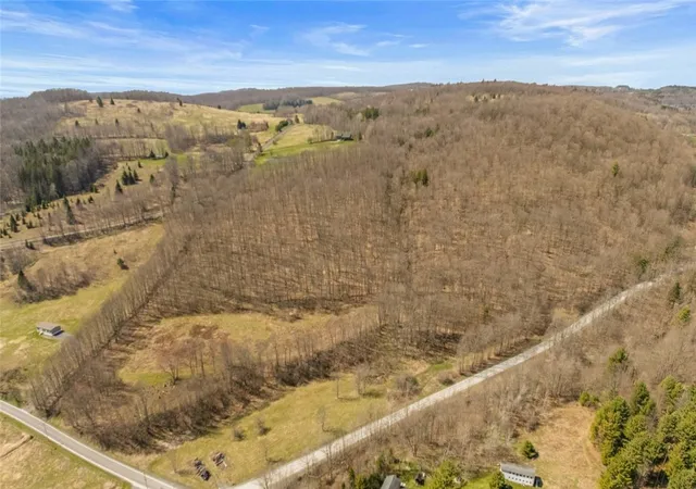 14th image of L9112 Lutheranville Rd, Summit, NY 12064 | MLS# R1678078