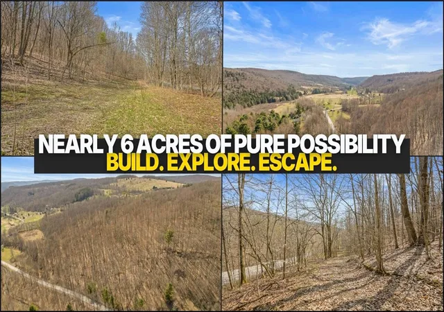 2nd image of L9112 Lutheranville Rd, Summit, NY 12064 | MLS# R1678078