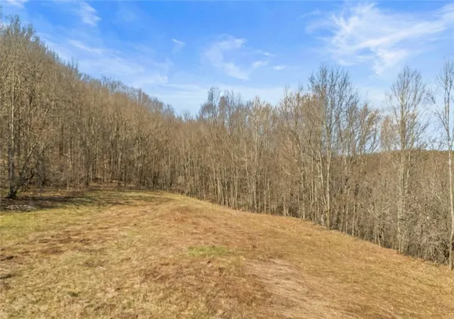 3rd image of L9112 Lutheranville Rd, Summit, NY 12064 | MLS# R1678078