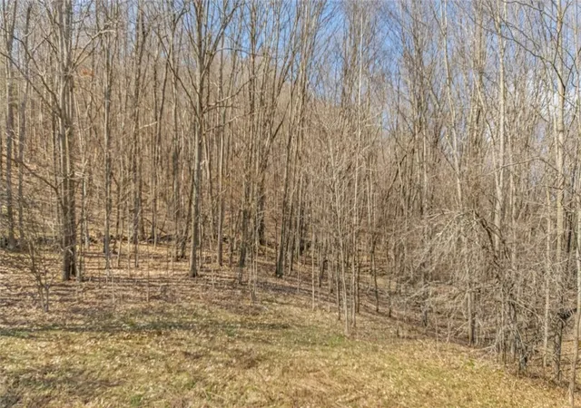 5th image of L9112 Lutheranville Rd, Summit, NY 12064 | MLS# R1678078