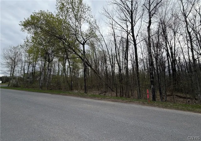 Homes for sale in Champion, NY | Farney Pit Rd, Champion, NY 13619 | MLS# S1678436