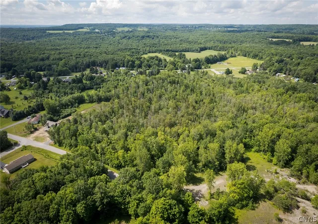 Homes for sale in Champion, NY | Farney Pit Rd, Champion, NY 13619 | MLS# S1678436