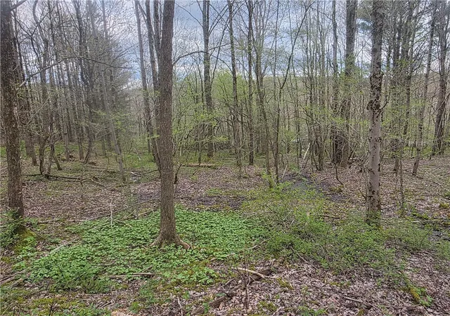 1st image of Clarence Church, South Otselic, NY 13155 | MLS# R1677462