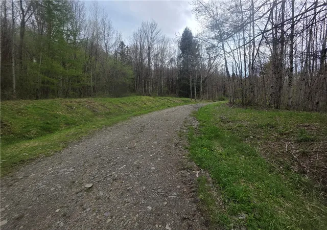 2nd image of Clarence Church, South Otselic, NY 13155 | MLS# R1677462