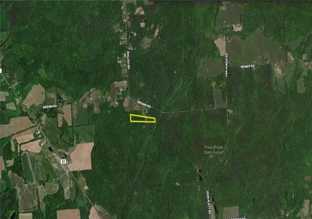 Homes for sale in Orwell, NY | 0 Trout Brook Dr, Orwell, NY 13144 | MLS# R1678537