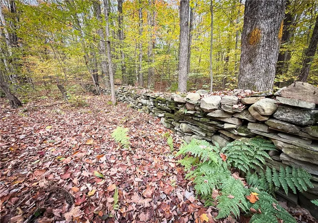 Homes for sale in Orwell, NY | 0 Trout Brook Dr, Orwell, NY 13144 | MLS# R1678537
