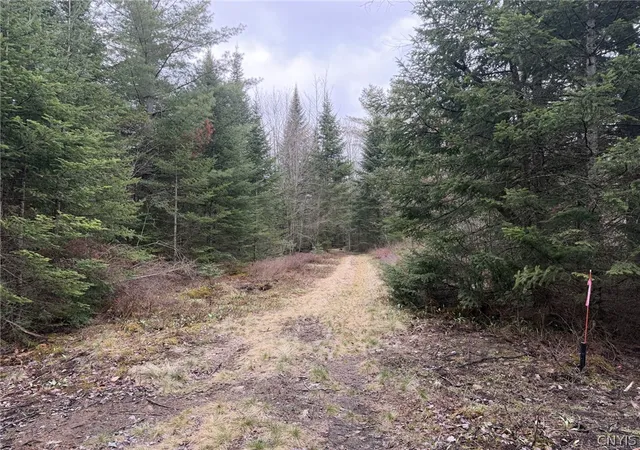 5th image of 236 State Route 8, Morehouse, NY 13324 | MLS# S1678711