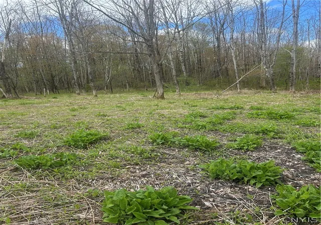 1st image of Smith Hill Road, Utica, NY 13502 | MLS# S1678179