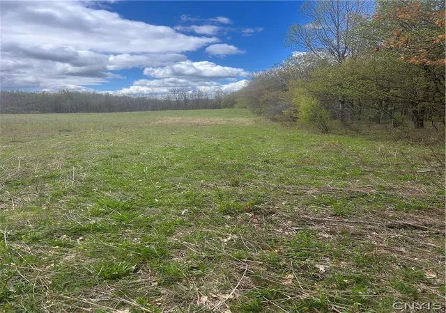 Photo 4 of Sale Pending at Smith Hl Rd, Utica, NY 13502 | MLS# S1678179 | Listing updated on 2026-07-31