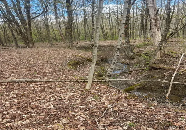 Photo 5 of Sale Pending at Smith Hl Rd, Utica, NY 13502 | MLS# S1678179 | Listing updated on 2026-07-31