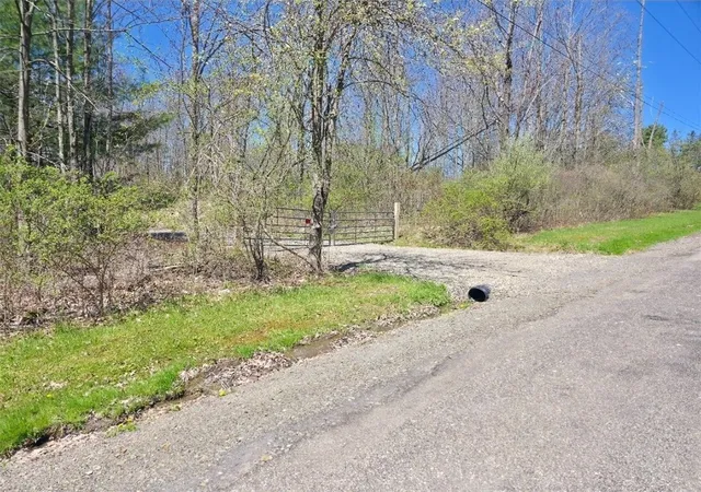 Homes for sale in Catlin, NY | 0 Mead Rd, Catlin, NY 14869 | MLS# R1678799