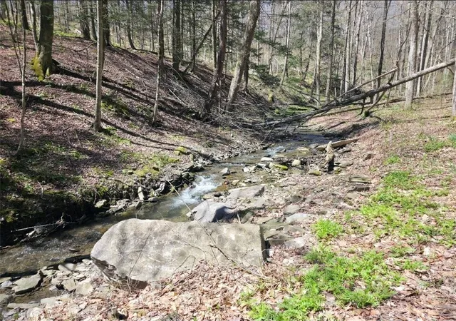 Photo 1 of Land for sale at 0(2) Dunn Rd, Catlin, NY 14869 | MLS# R1678785 | Listing updated on 2026-07-14