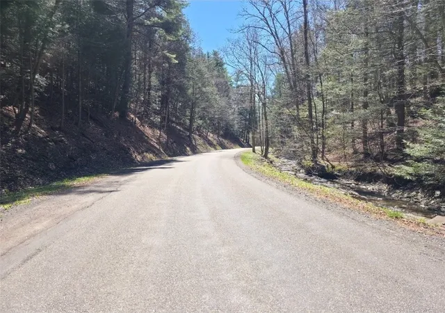 Photo 2 of Land for sale at 0(2) Dunn Rd, Catlin, NY 14869 | MLS# R1678785 | Listing updated on 2026-07-14