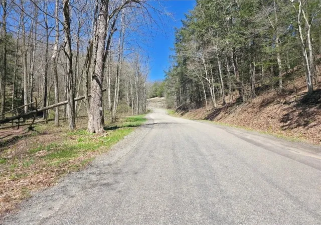 Photo 3 of Land for sale at 0(2) Dunn Rd, Catlin, NY 14869 | MLS# R1678785 | Listing updated on 2026-07-14