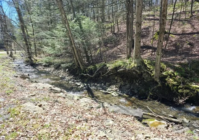 Photo 4 of Land for sale at 0(2) Dunn Rd, Catlin, NY 14869 | MLS# R1678785 | Listing updated on 2026-07-14