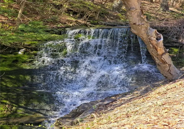 Photo 5 of Land for sale at 0(2) Dunn Rd, Catlin, NY 14869 | MLS# R1678785 | Listing updated on 2026-07-14