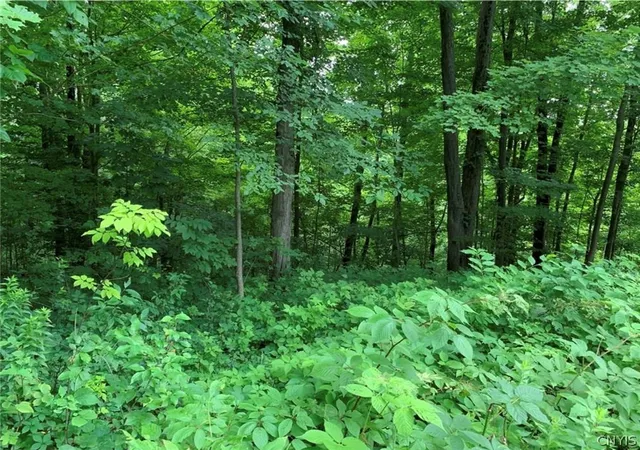 48th image of 60 Ridgeway Sites Ave, Oswego, NY 13126 | MLS# S1678601