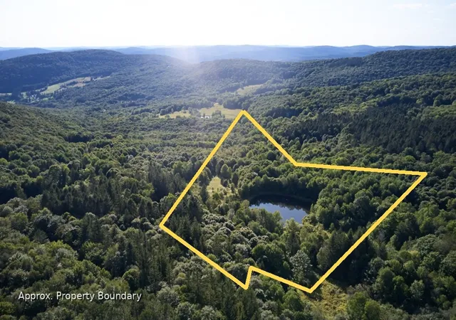 Photo 2 of Land for sale at 1855 Davis Holw Rd, Andes, NY 13731 | MLS# R1678969 | Listing updated on 2026-07-23