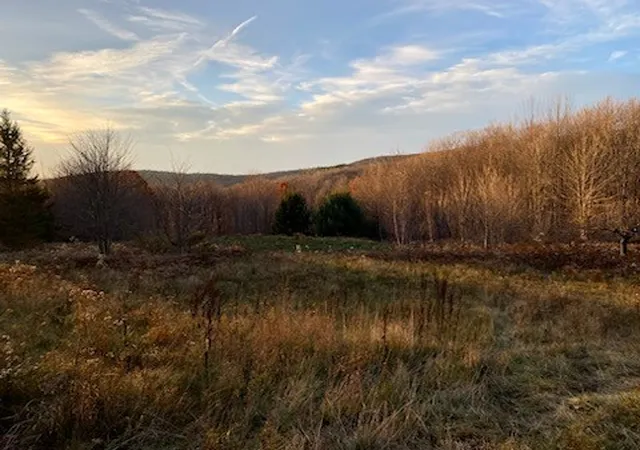 Photo 3 of Land for sale at 1855 Davis Holw Rd, Andes, NY 13731 | MLS# R1678969 | Listing updated on 2026-07-23