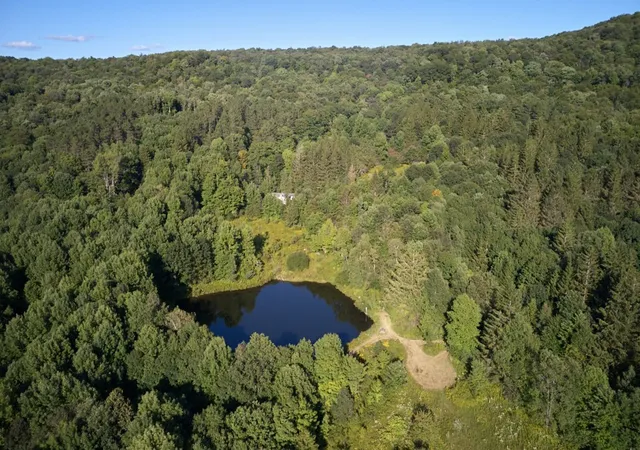 Photo 5 of Land for sale at 1855 Davis Holw Rd, Andes, NY 13731 | MLS# R1678969 | Listing updated on 2026-07-23