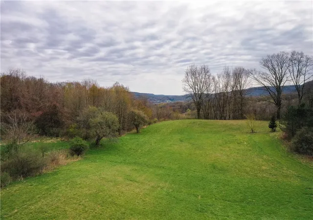 Homes for sale in Naples, NY | 8921 Eelpot Rd, Naples, NY 14512 | MLS# R1676105