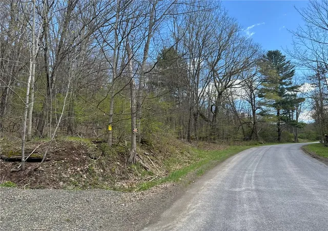 Homes for sale in Sidney, NY | 0 Patent Line Rd, Sidney, NY 13838 | MLS# R1678199