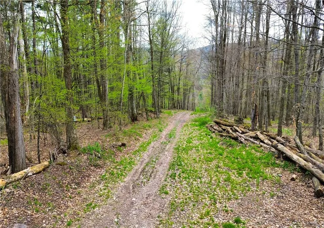 Homes for sale in Sidney, NY | 0 Patent Line Rd, Sidney, NY 13838 | MLS# R1678199