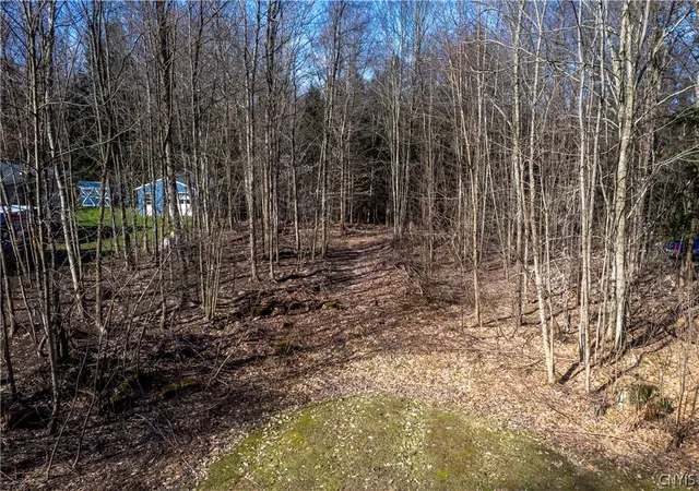 Photo 2 of Land for sale at Baum Rd, Hastings, NY 13076 | MLS# S1675942 | Listing updated on 2026-07-29