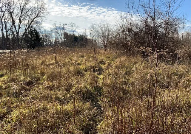 Homes for sale in Ridgeway, NY | N Gravel, Ridgeway, NY 14103 | MLS# B1679265