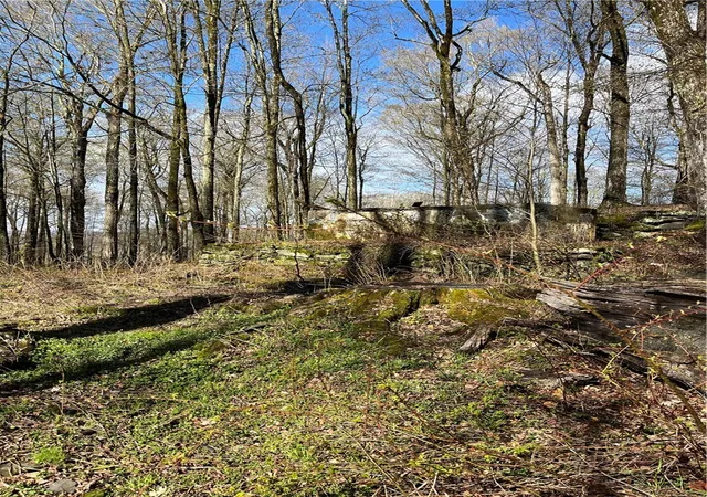 Homes for sale in Roxbury, NY | Vega Mountain Rd, Roxbury, NY 12474 | MLS# R1676543