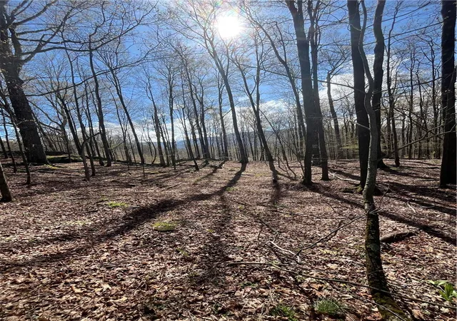 Homes for sale in Roxbury, NY | Vega Mountain Rd, Roxbury, NY 12474 | MLS# R1676543