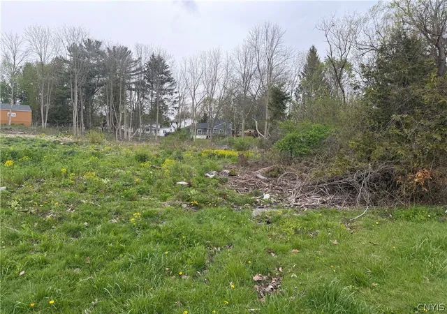 Homes for sale in Homer, NY | Franklin St, Homer, NY 13077 | MLS# S1679193