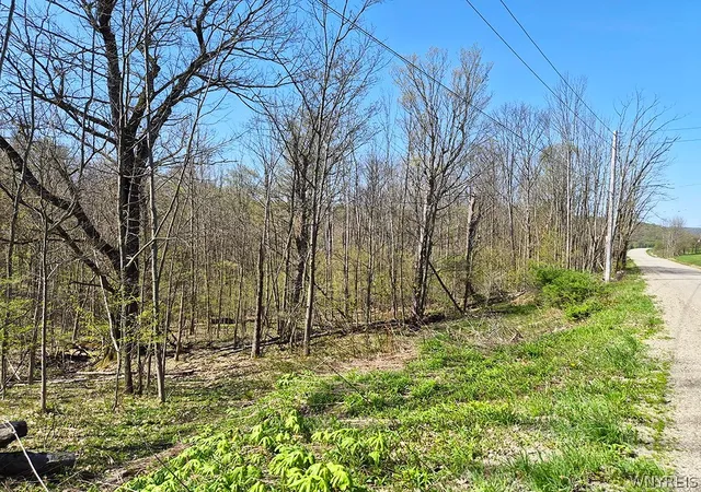 Homes for sale in Mansfield, NY | Vl Windsor Rd, Mansfield, NY 14779 | MLS# B1678656