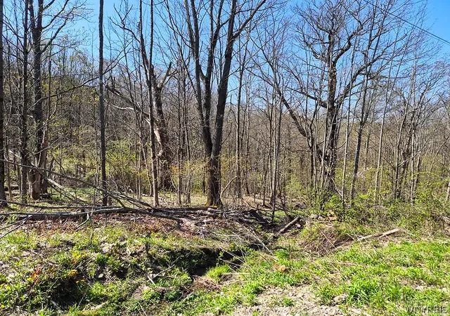 Homes for sale in Mansfield, NY | Vl Windsor Rd, Mansfield, NY 14779 | MLS# B1678656