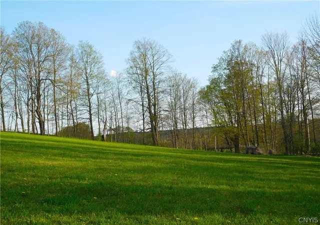 5th image of 9651 Doyle Rd, West Edmeston, NY 13485 | MLS# S1679188