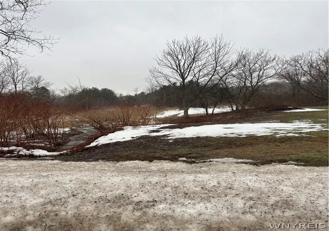 4th image of 5370 Chestnut Ridge Rd, Orchard Park, NY 14127 | MLS# B1679020