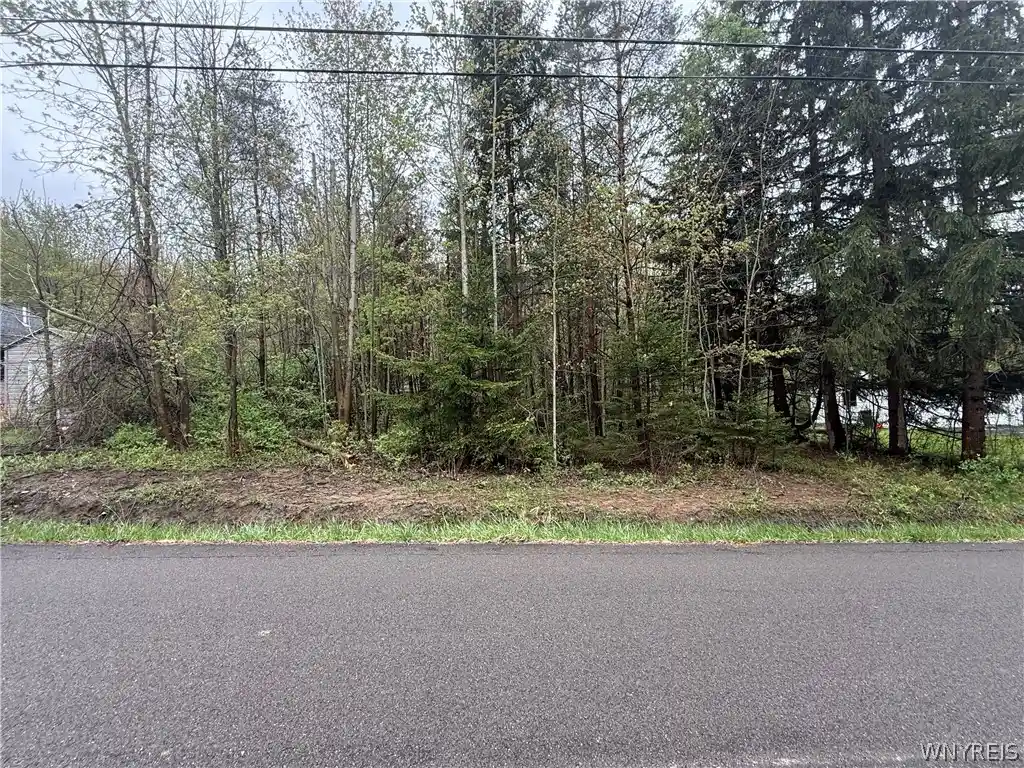 Land for sale at Dawn Ave, Angola, NY 14006 | MLS# B1679076