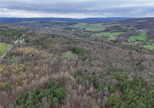 22nd image of 00 Gravel Run Rd, Dundee, NY 14837 | MLS# R1679011
