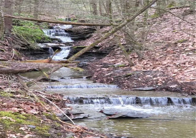 2nd image of 00 Gravel Run Rd, Dundee, NY 14837 | MLS# R1679011