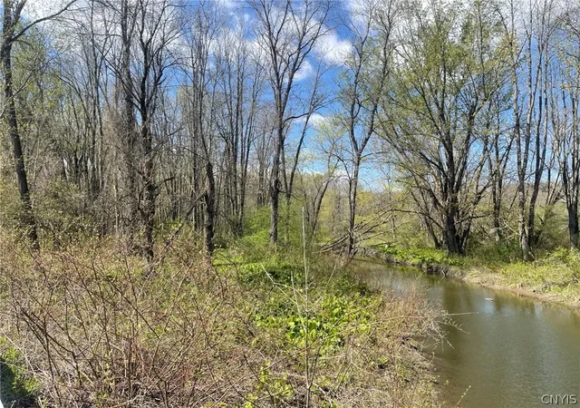 22nd image of 346 Moyer Rd, Richfield, NY 13439 | MLS# S1679874