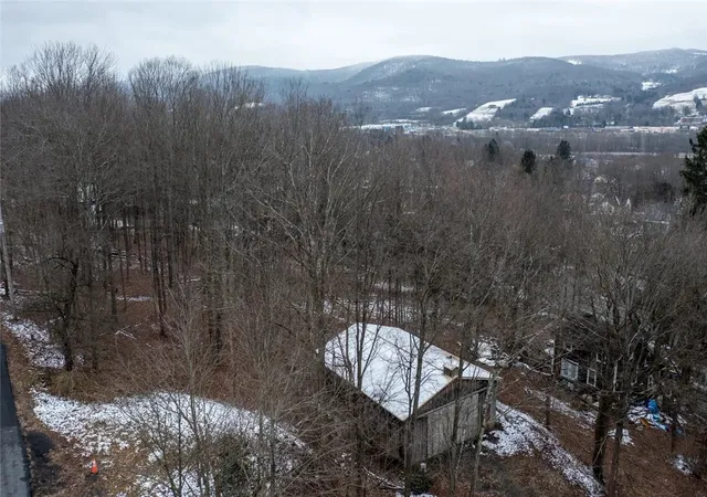 4th image of Center St, Oneonta, NY 13820 | MLS# R1679640