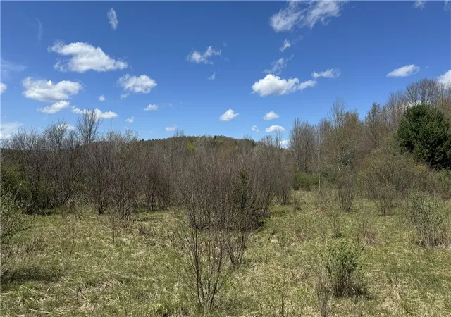 2nd image of Id# 47 2 6 Bingham Collins Rd, Columbus, NY 13460 | MLS# R1679692