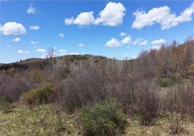 3rd image of Id# 47-2-6 Bingham Collins Rd, Columbus, NY 13460 | MLS# R1679692