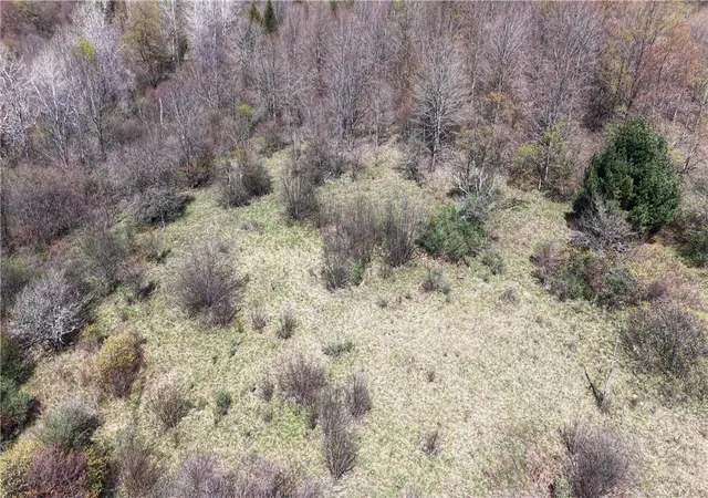 4th image of Id# 47-2-6 Bingham Collins Rd, Columbus, NY 13460 | MLS# R1679692