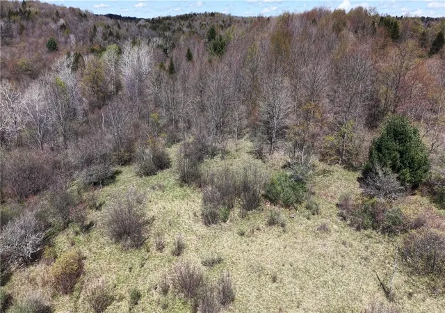 5th image of Id# 47-2-6 Bingham Collins Rd, Columbus, NY 13460 | MLS# R1679692