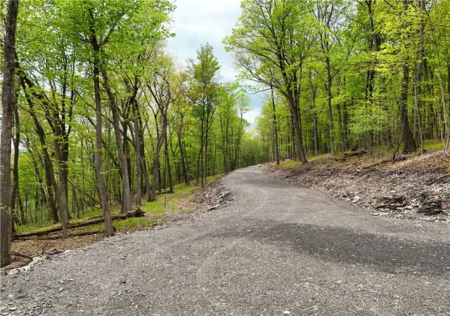 Photo 2 of Land for sale at 2 Nora's Way, Starkey, NY 14837 | MLS# R1679567 | Listing updated on 2026-05-21