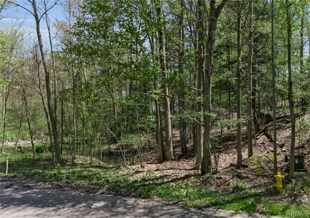 1st image of Vl Middlebury 2, Orchard Park, NY 14127 | MLS# B1679843