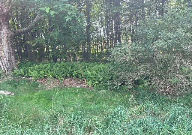 Homes for sale in Masonville, NY | State Hwy 206, Masonville, NY 13804 | MLS# R1679618